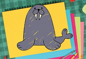 How To Draw A Walrus - Super Simple