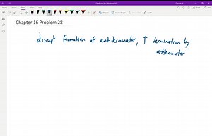 SOLVED:Some mutations in the tr p 5' UTR increase termination by the attenuator. Where might these mutations occur, and how might they affect the