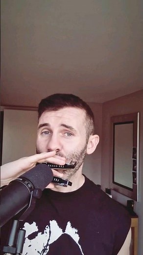 Beatbox Harmonica - Loop Pedal