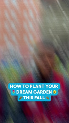 59K views · 109 reactions | It's time to let those bulbs chill until Spring  | Lowe's Home Improvement | Facebook