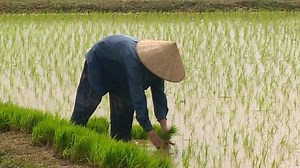 Battle's Poison Cloud