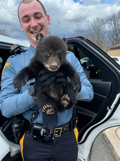 New Jersey State troopers rescued a baby bear abandoned in a roadside ditch