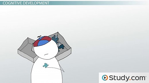 Types of Human Development | Social, Emotional & Cognitive