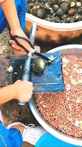 The most amazing inventions and devices that make people's lives easier | Carlos Martinez Leal