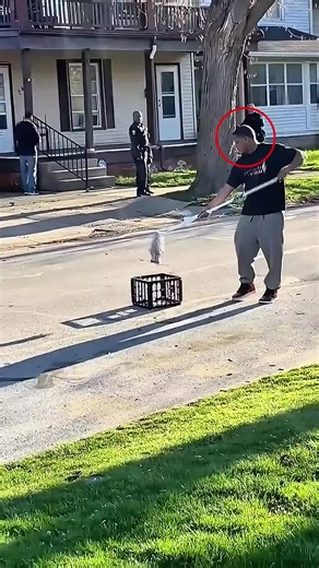 Caught acting normal while spying on neighbors #prank #relatable#viral #fyp #foryou