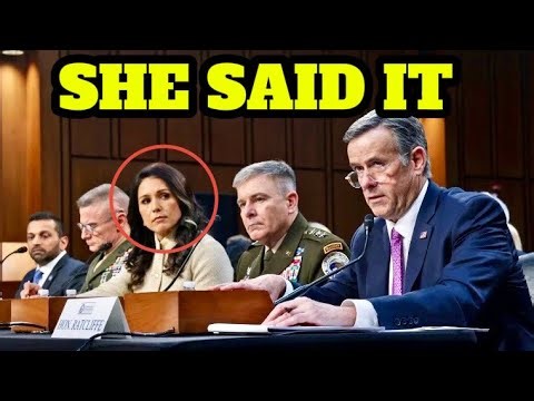 Tulsi Gabbard just ADMITTED IT in Congress