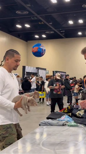 Beauty’s! We Ship Worldwide www.Heatarchive.com📦 Link In Bio Always Buying In Store! 1593 N High St. Columbus, OH 43201 • • • • • • #heatarchive #ig #explore #reels #fyp | Heat Archive