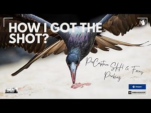 How I Got the Shot? - Galapagos Islands &ProCapture SH1