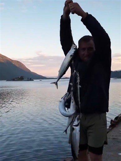 рыбалка на скумбрию в Норвегии #fishing #скумбрия #рыбалка #norway #норвегия