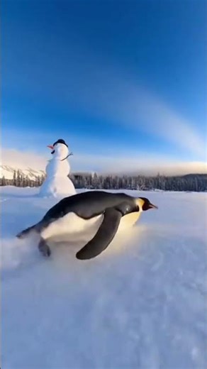 Penguin Speed Gone Wrong 🐧😂#funnyshorts #cartoonshorts #penguin