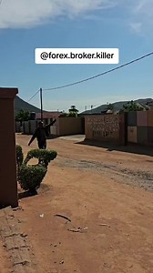 Forex Trading Signals for Smart Investors