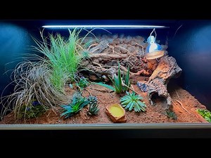 Desert Bioactive Bearded Dragon Vivarium