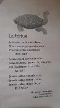 chanson de la tortue 🐢 🐢 CE1