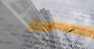 Animación de texto de diccionario resaltado: video de stock (totalmente libre de regalías) 3583911287 | Shutterstock