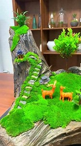 62K views · 1.3K reactions | Beautiful creative ideas of Moss indoor plant design ❤❤ #diy #amazingvideo #Awesome #moss #plants #indooridea #indoorplant #mossart #trees #art #tree #plant #homedecor #handmade #naturelovers #microlandscape #landscape #decoration #decorate #mossidea #mossarrangement #microlandscape #microart #artgallery #mossartist | Moss CraftIdeas | Facebook