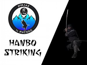 Hanbo Striking Drills