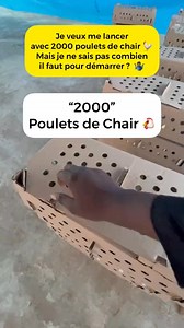 DEVIS DE 2.000 POULETS DE CHAIR 🐔📊 Dans cette vidéo, il présente en détail le devis nécessaire pour lancer un élevage de 2.000 poulets de chair. Achat des poussins, aliment, vaccins, chauffage, main-d’œuvre et autres charges essentielles sont passés en revue pour aider ceux qui veulent se lancer à bien se préparer. Connaître le devis réel permet d’éviter les surprises, de mieux planifier son investissement et d’augmenter ses chances de réussite dans l’élevage des poulets de chair. Abonne-toi p