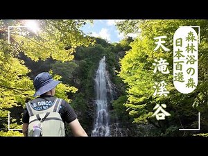Tendaki Valley|Forest Japan 100 Selections|Waterfall with a drop of 98m|Transportation|Hiking Trail