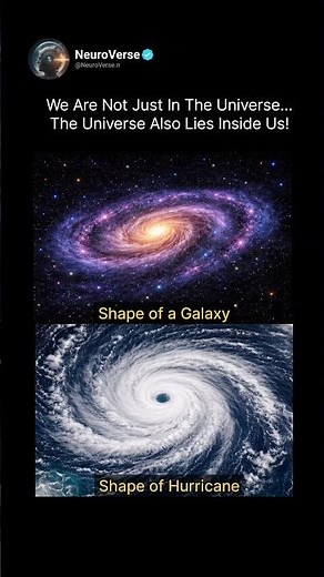 Humans Are Connected To The Universe