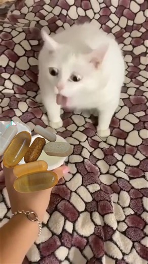 i got chocked by supplements