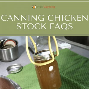 Canning Chicken Stock FAQs: Excess Fat