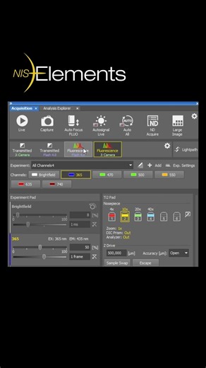Nikon Microscope Solutions | 💡🤔 Choosing the right light sources and filters for fluorescence imaging can be tricky, especially with multiple dyes and filter sets... | Instagram