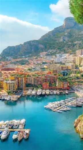 Population Density by Country 🌍 2025. Which country’s population density surprised you the most?