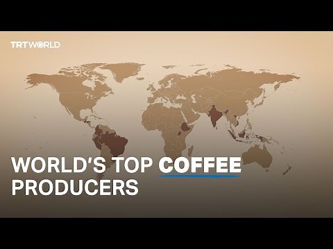 Who are the largest coffee producers in the world?