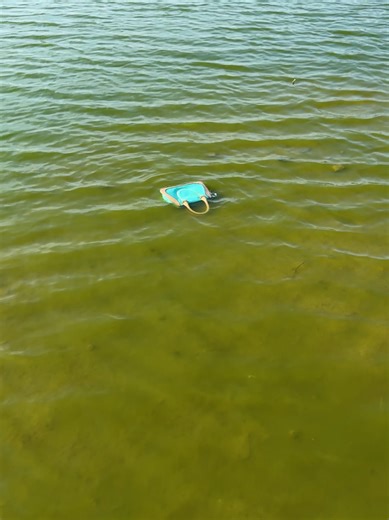 Found Floating Bag at the Beach: A Unique Discovery