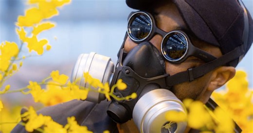 Meet the masked artist who conjured a concrete jungle of 20,000 orchids