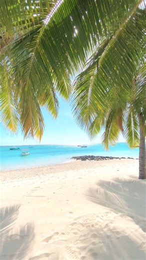 14K views · 2.3K reactions | 壟…..life is life  Mauritius, something to sea  @willywilliamofficiel #mauritius #mauritiusexplored #island #africa Mauritius, it’s the journey and experience #mauritiusisland #travelling #travel #coconut #summer #holiday #travelstoke #vegetarian #coconuts #ocean #berlin #summer #beach #munich #liebe #ilemaurice #beaches #holidays #honeymoon #fly #weddingseason #weddingdress #vacations | Mauritius Island | Facebook