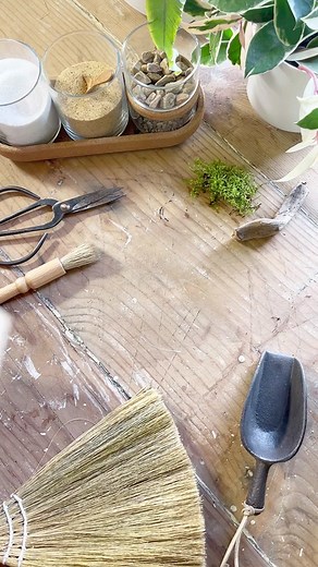 How I make the world’s smallest terrarium #tutorial #diy #howto #beginner #terrarium #portland #moss #plants