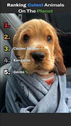 Top 5 Cutest Animals in the World 😍 You Won’t Believe #1! #shorts
