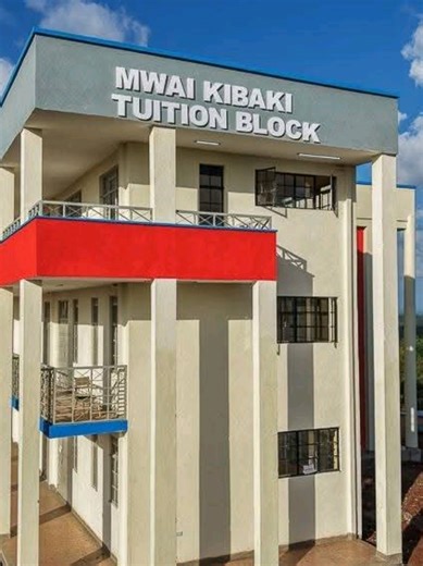 Ndindi Nyoro's Kiharu Projects Showcase