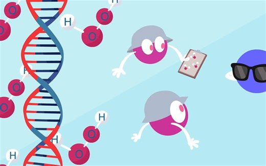 #医学翻译#DNA的损伤以及修复