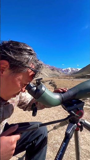 Spotting Snow Leopards & Rare Wildlife in Ladakh | Rumbak Valley Wildlife Tour with Gyalson Shangku