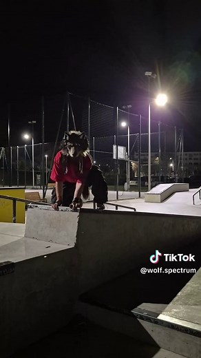 Quadrobics at Night: Why Evening Workouts Work Best