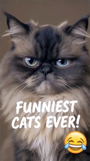 When Cats Have One Brain Cell 😅 | Funniest Cat Moments