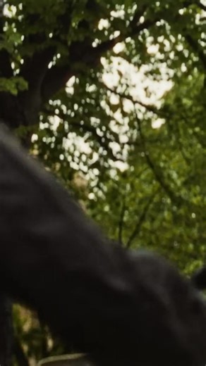 Ready to feel the thrill of a BMW Motorrad bike? Book your test ride* at Group 1 Brighton Bikes today. *Test ride subject to status and availability Find your perfect Ride. Group 1 Brighton BMW Bikes. | Group 1 BMW Bikes | Facebook