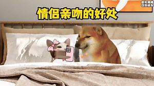 情侣亲吻的好处是什么
