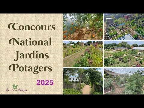 Discover the most beautiful vegetable gardens of the 2025 National Competition!