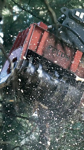 The CEM36 excavator mulcher is compact but packs serious power! Watch it effortlessly tackle trees and brush with precision and ease. Perfect for tough land-clearing jobs! #Fecon #CEM36 #ExcavatorMulcher #LandClearing #MulchingPower | Fecon