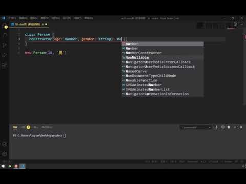 《前端TypeScript零基础入门到实战》 2·10 class的构造函数