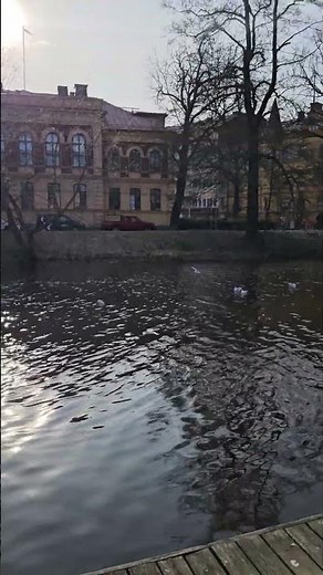 Uppsala my beautiful city #sweden #uppsala #lifeisbutadream #travel ##nature