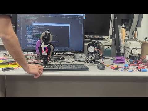 Swing phase motion hardware test