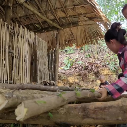 50K views · 714 reactions | Build a house for firewood, cook rice and fertilize upland rice with 2 children | Bhalaha | Facebook