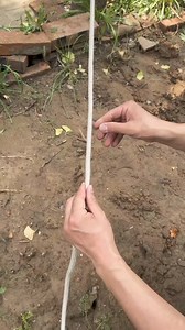 Ultimate trucker Hitch tutorial - easiest way to tie knot #hitch #knot #trucker #knot | SM MITHU 360