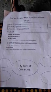 Economics and Management Sciences projectINSTRUCTIONS:This p... | Filo