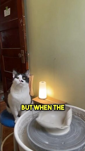 This Cat Made Clay Pots ❤️