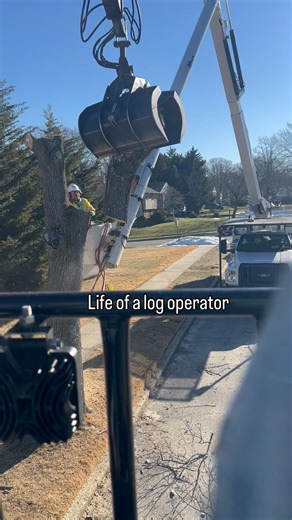 Log Loader Operator #Daily #gotwood